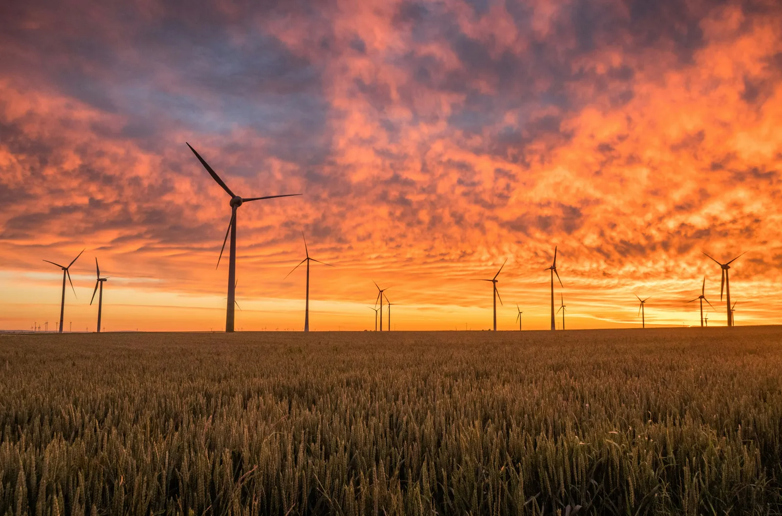 How innovative technologies are revolutionizing wind turbine blade repair in the UK